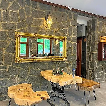 Teona & Restaurant Hotel Kayacik (Konya)